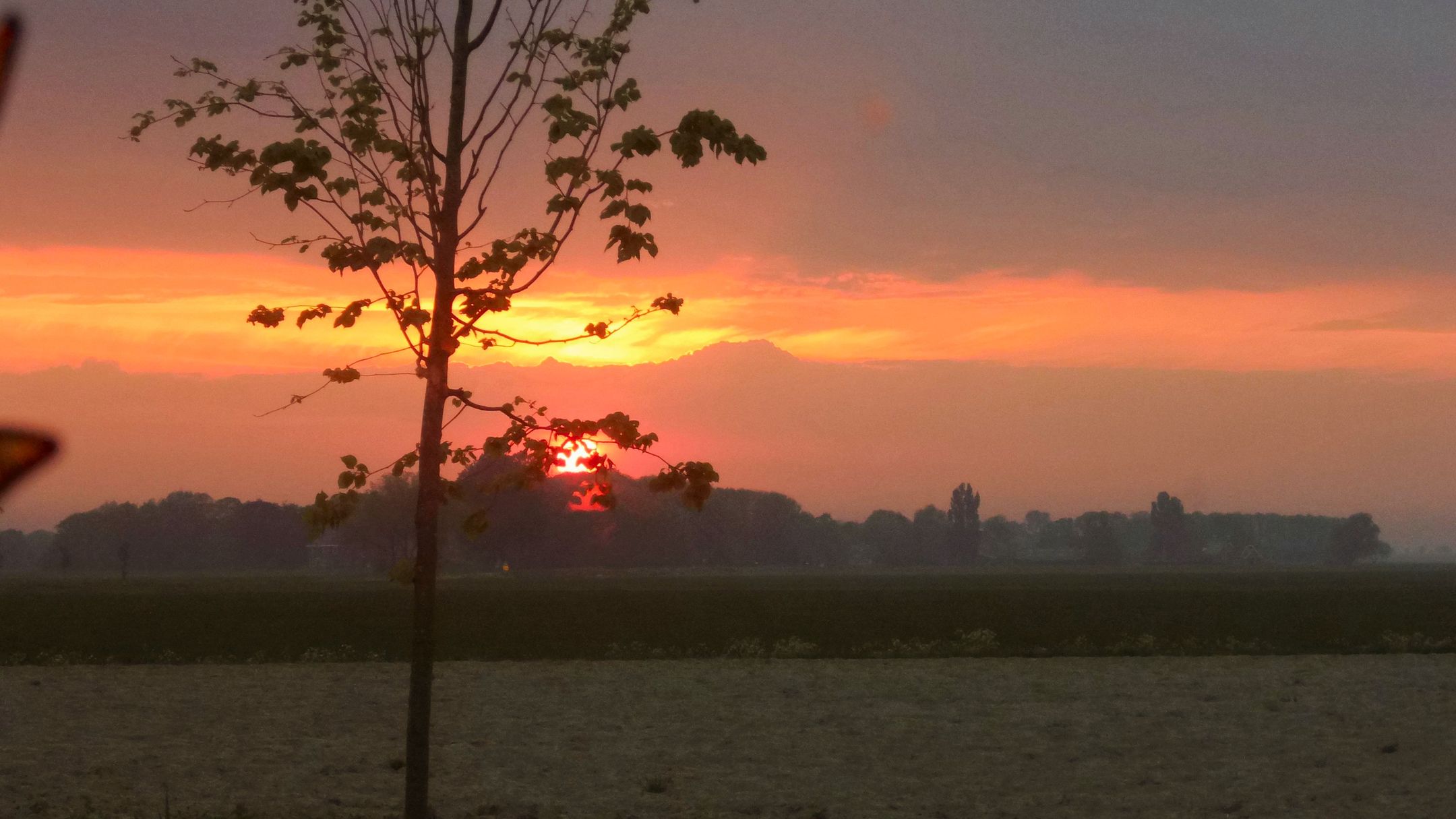 Photo 81 of Boschweg 14-A