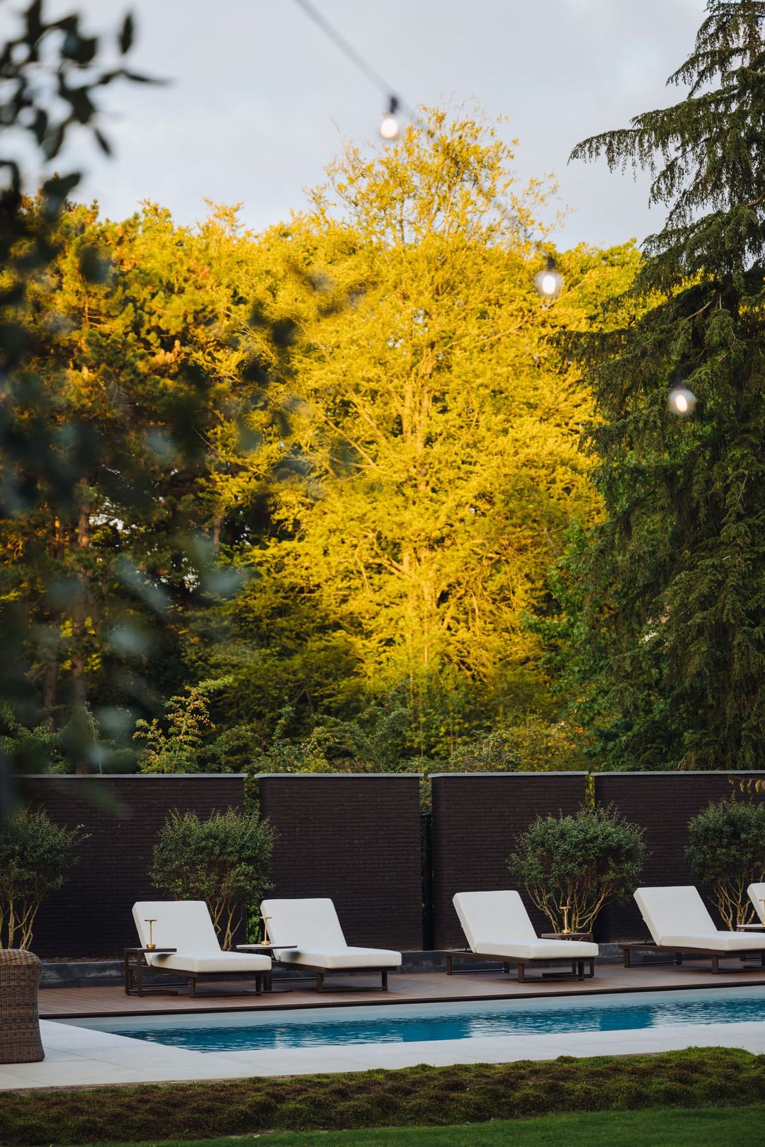 Foto 53 van Wilhelminalaan 5