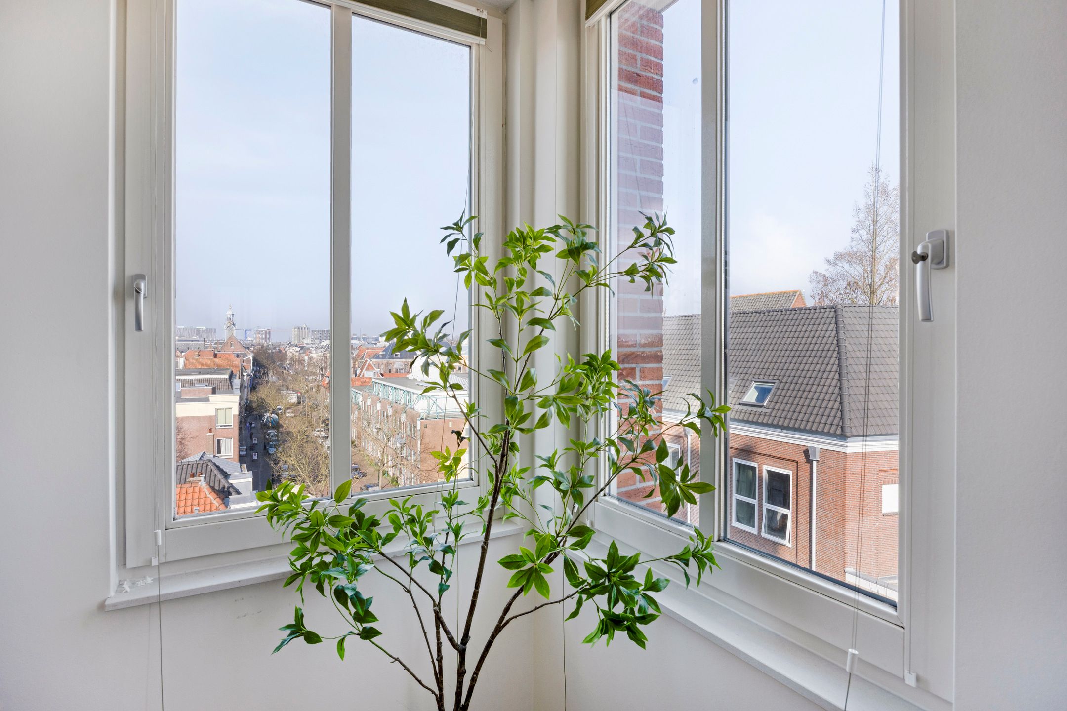 Foto 18 van Kaiserstraat 75