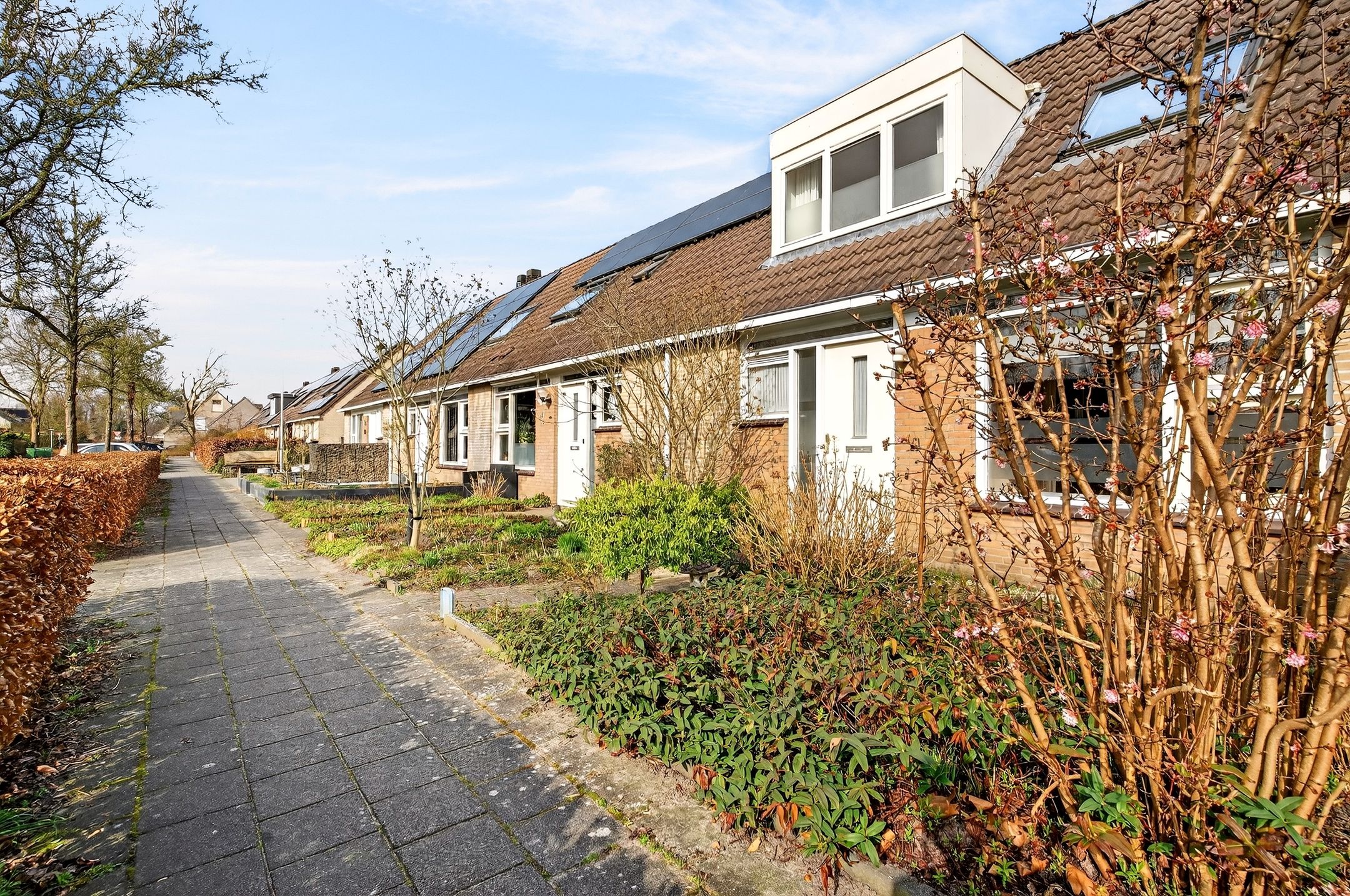 Photo 9 of Biezenveld 8