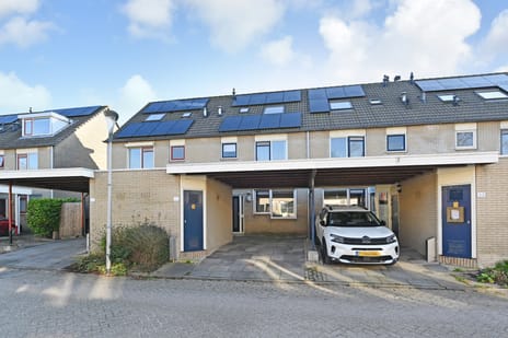 undefined main image