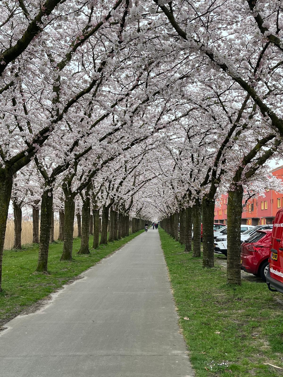 Foto 29 van Guadeloupestraat 7