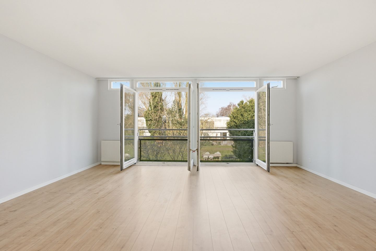 Foto 4 van Apollovlinder 9