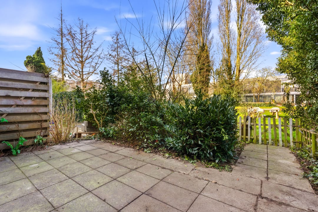 Foto 8 van Apollovlinder 9