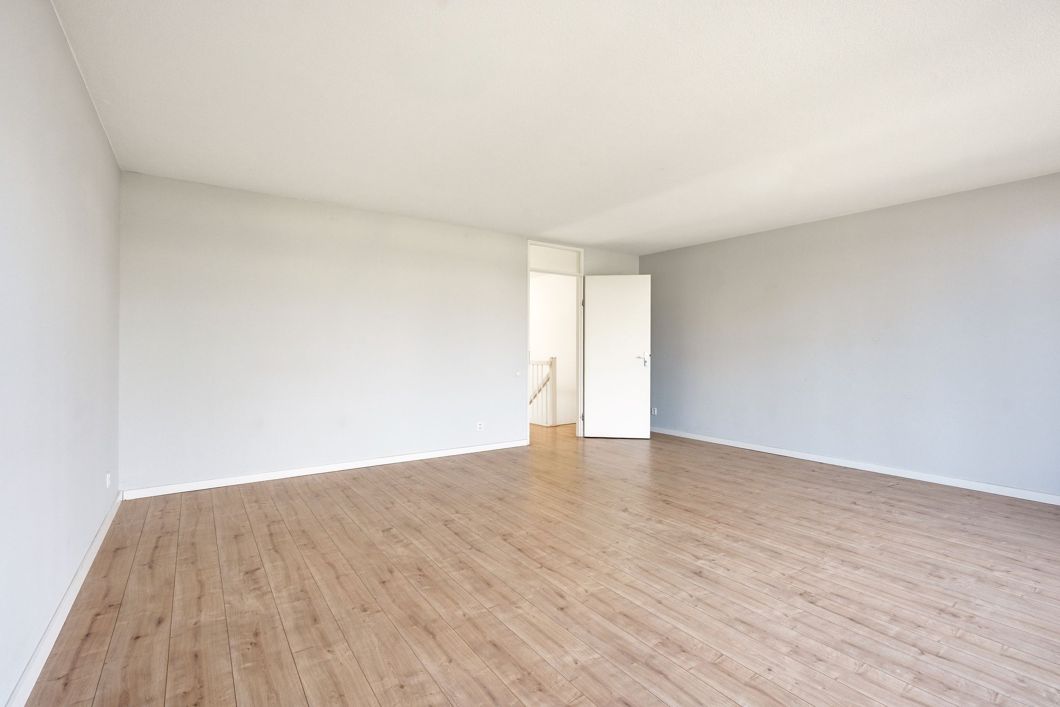 Foto 12 van Apollovlinder 9