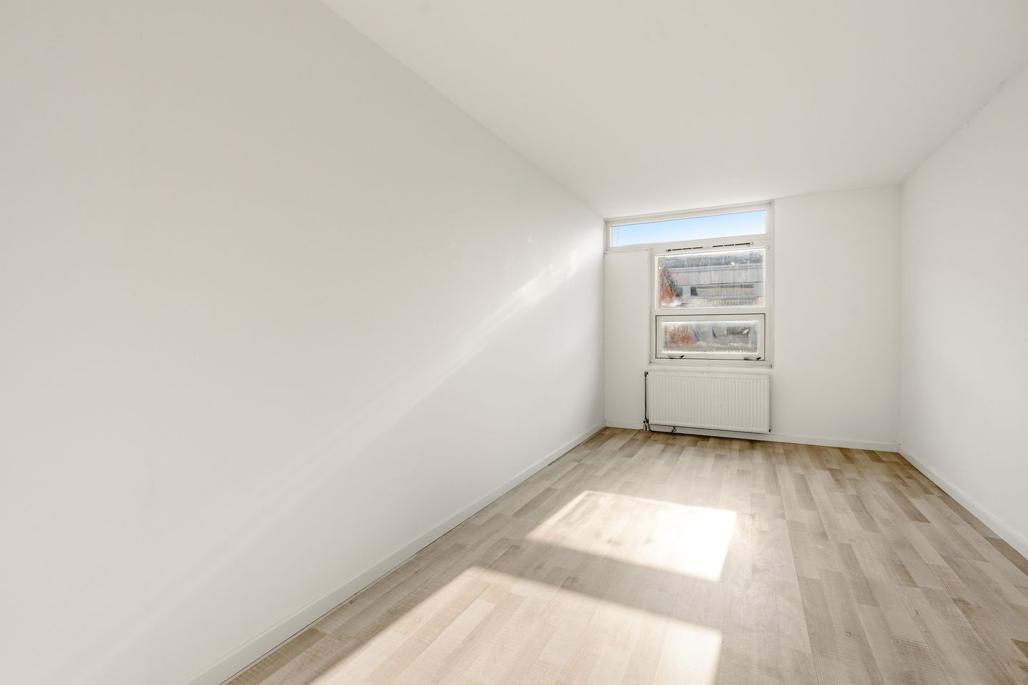 Foto 14 van Apollovlinder 9