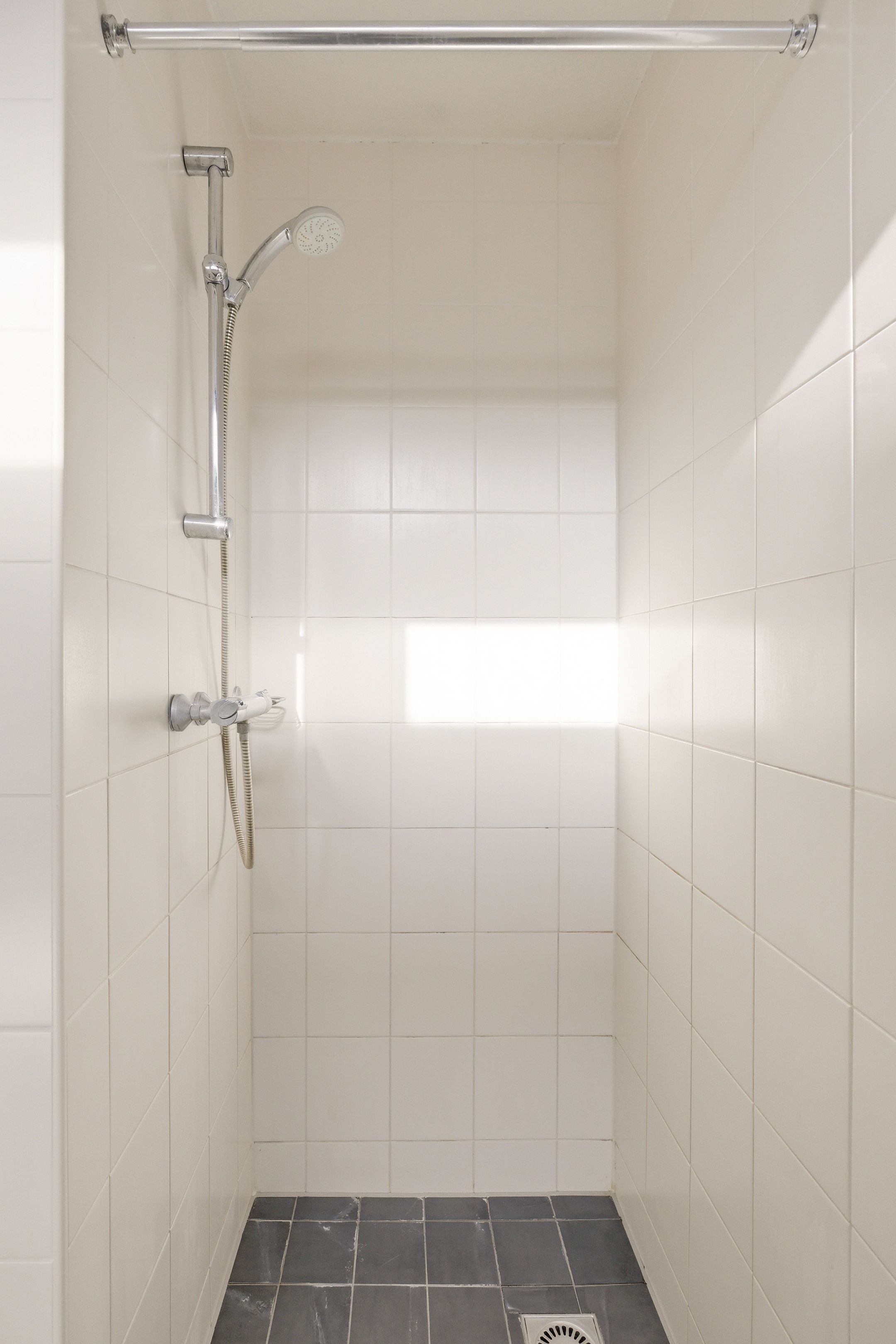 Foto 24 van Apollovlinder 9