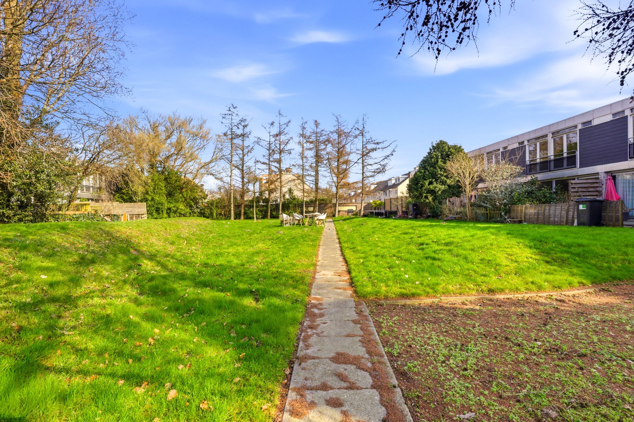 Foto 30 van Apollovlinder 9