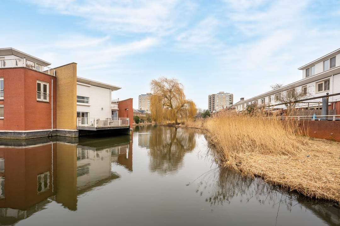 Foto 31 van Apollovlinder 9