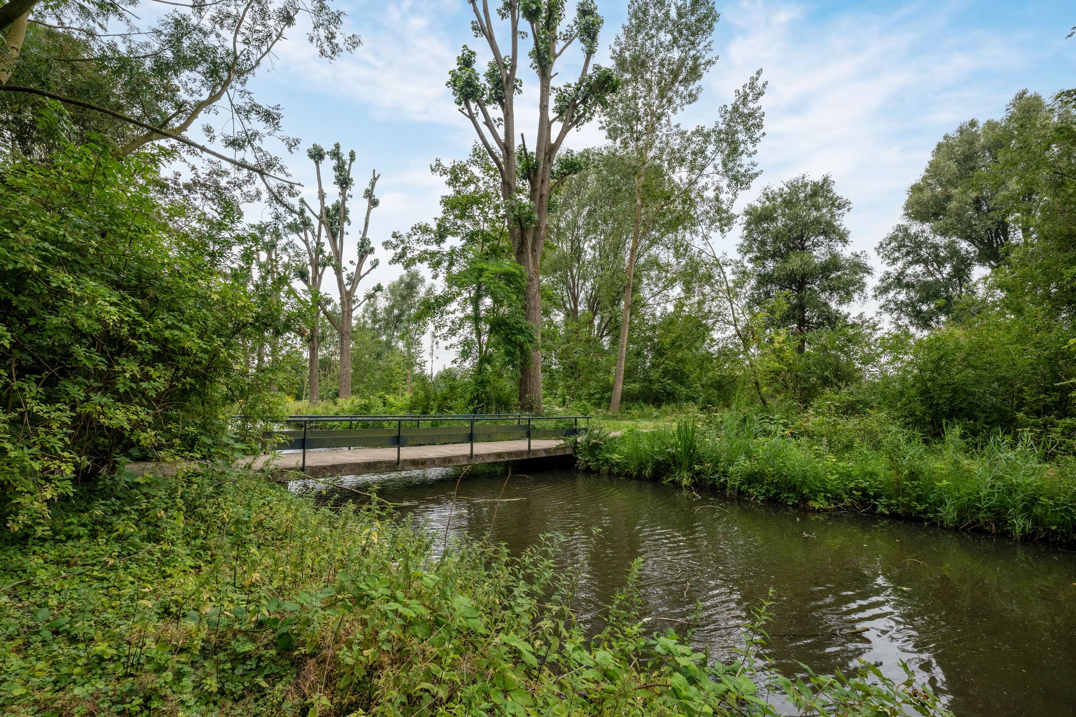 Foto 36 van Apollovlinder 9