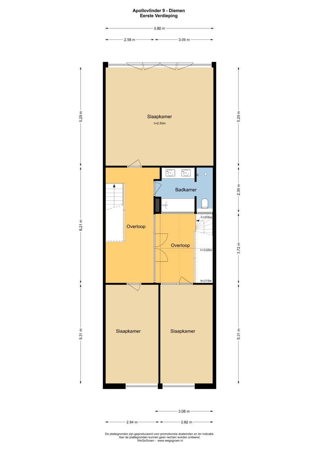 Foto 40 van Apollovlinder 9