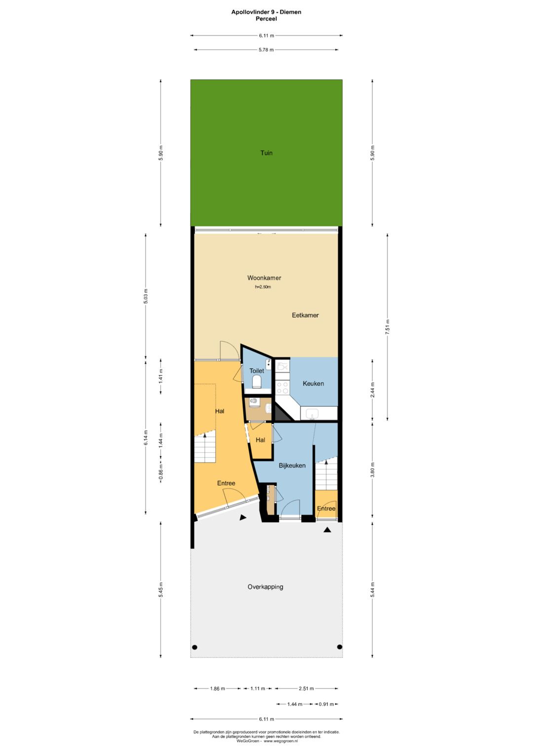 Foto 43 van Apollovlinder 9