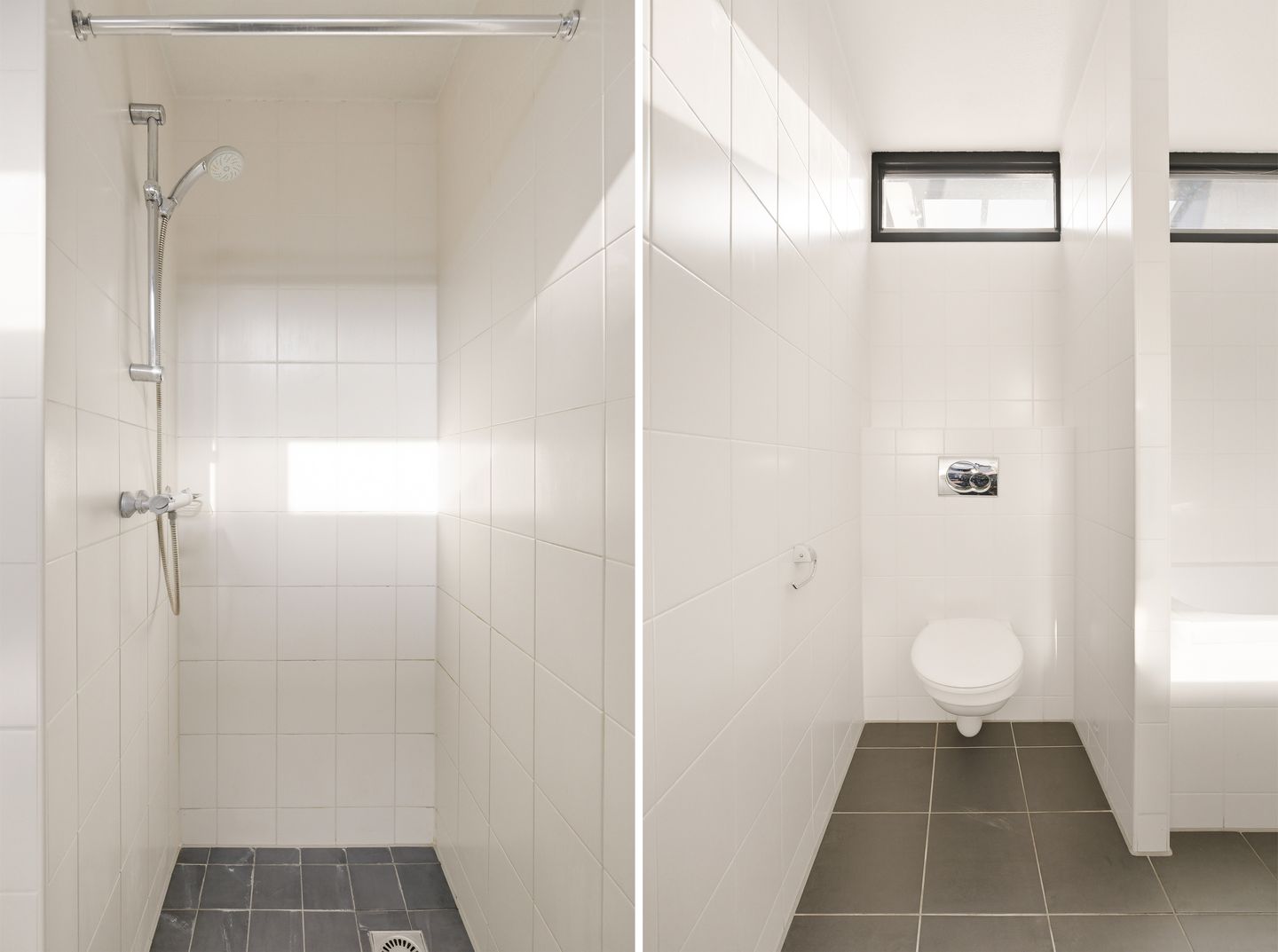 Foto 25 van Apollovlinder 9