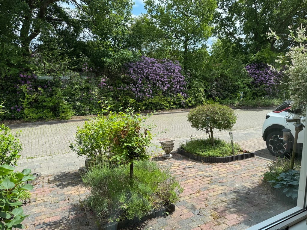 Photo 25 of Oldenoert 84