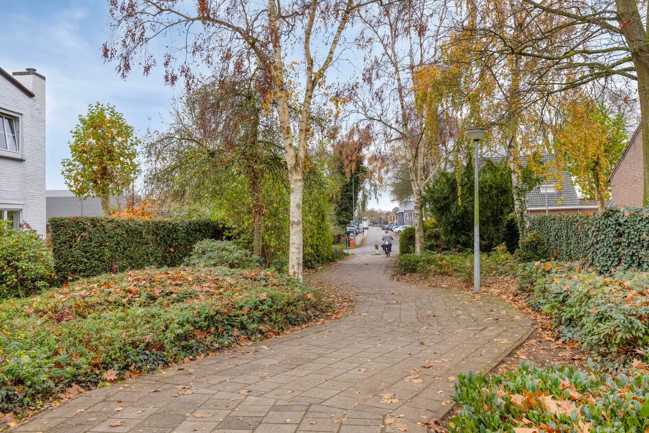 Photo 39 of Dierenriem 42 A1