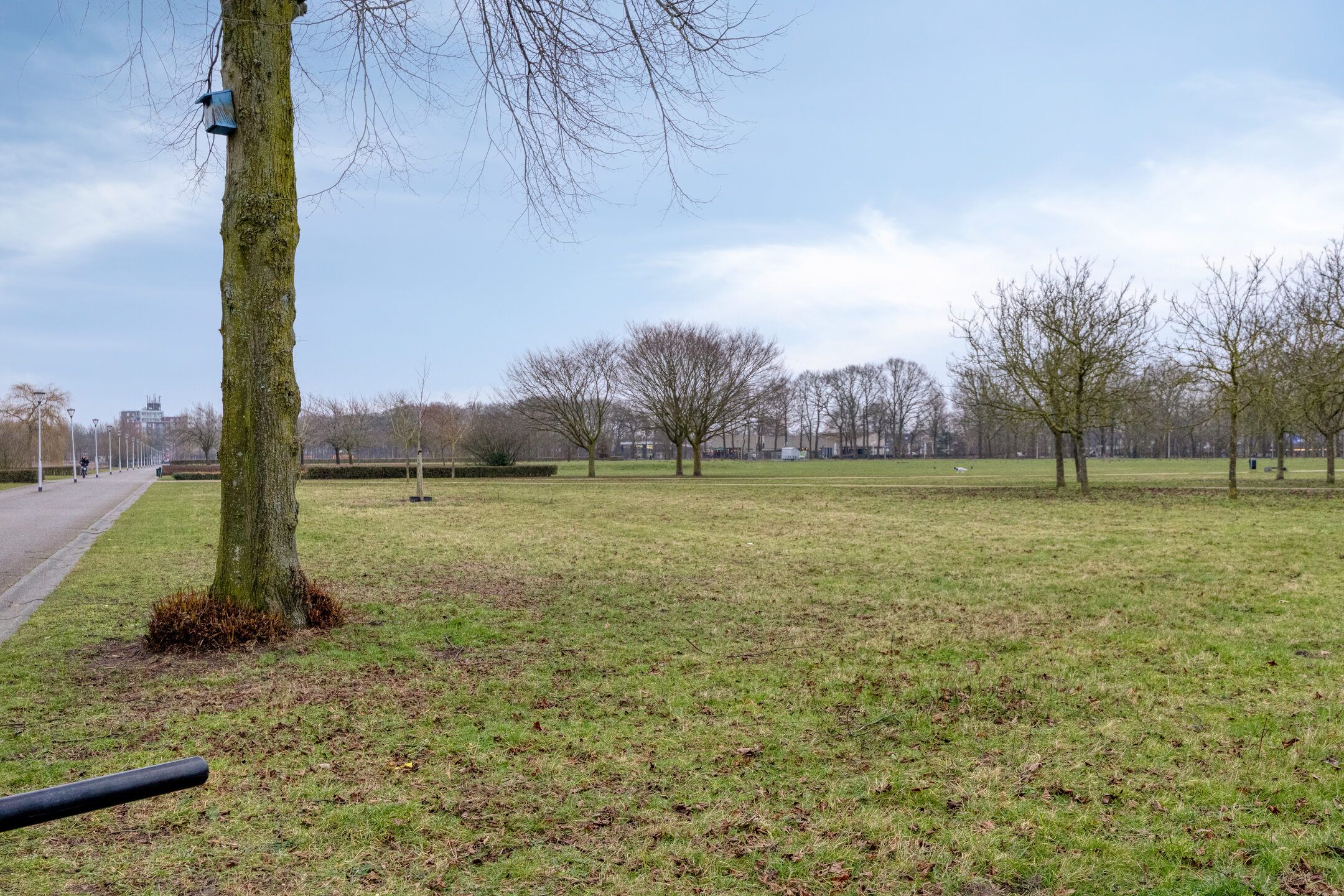 Foto 36 van Herwijnenstraat 5