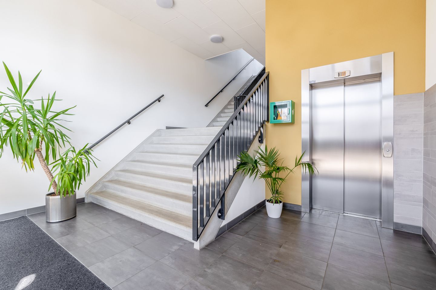 Foto 5 van Populier 44