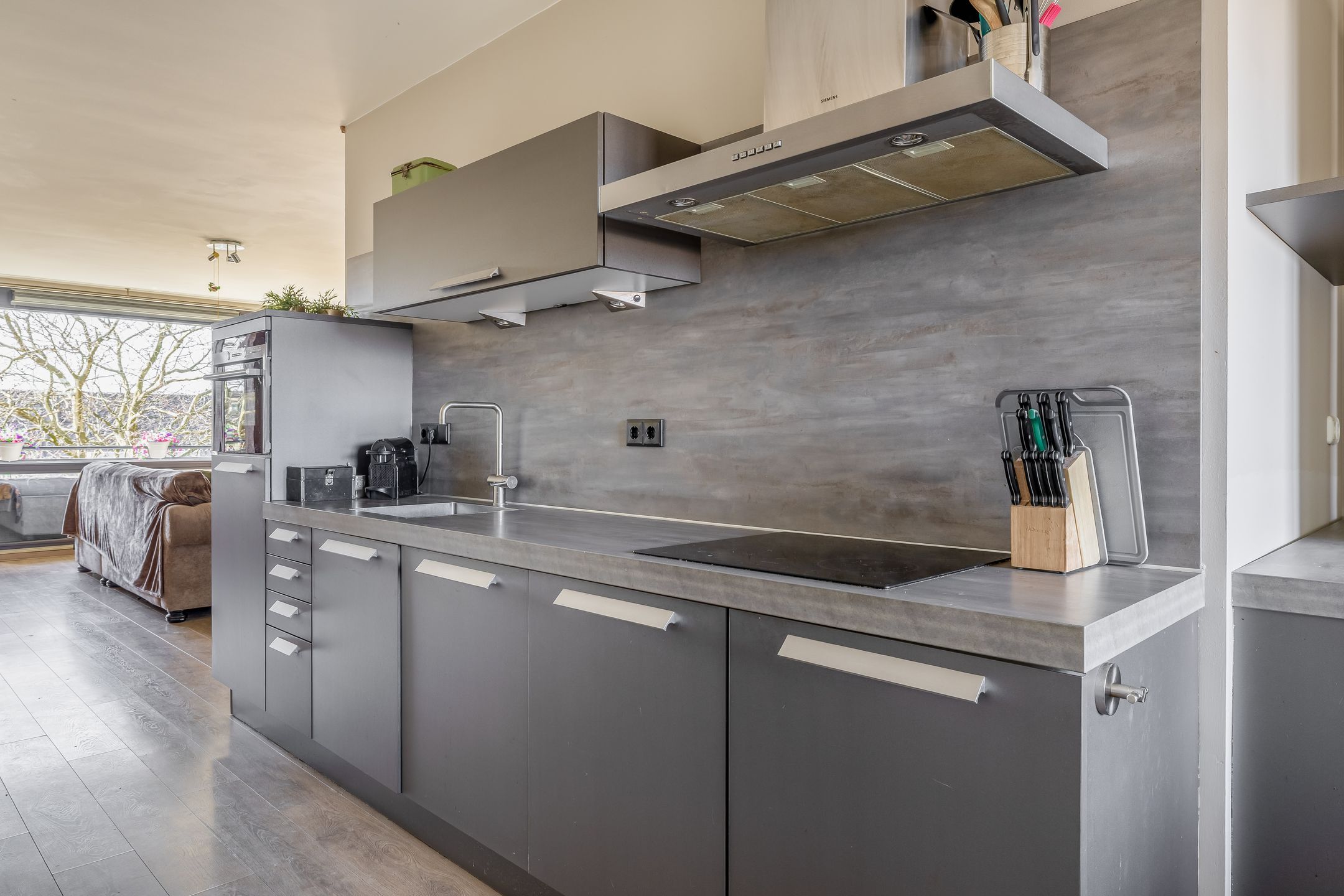 Foto 15 van Populier 44