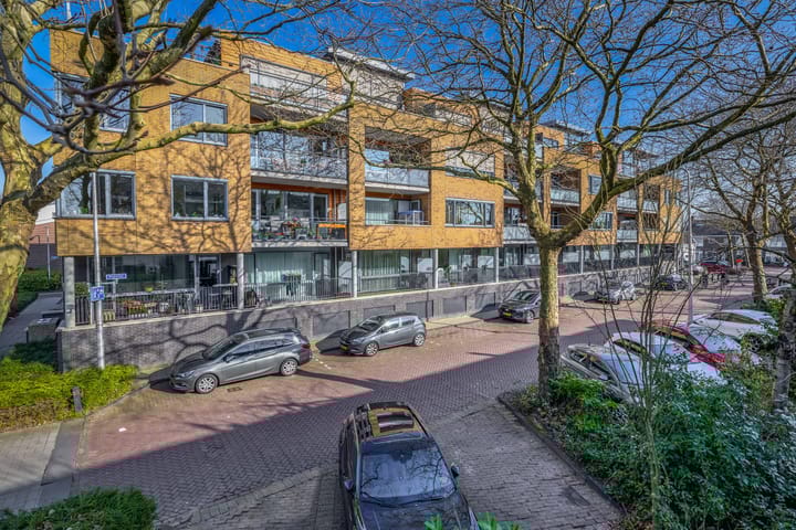 Populier 44 main image