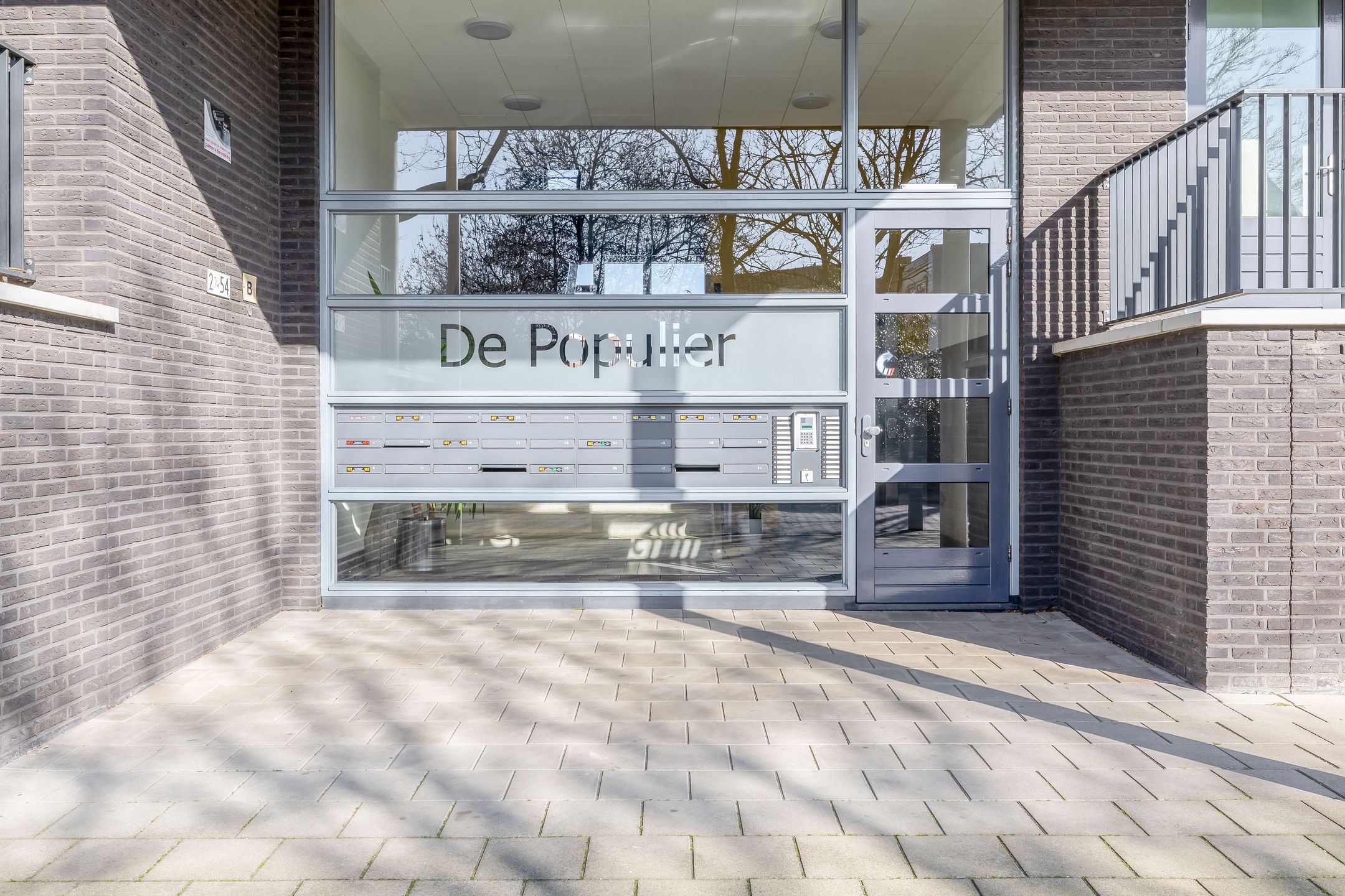 Foto 3 van Populier 44