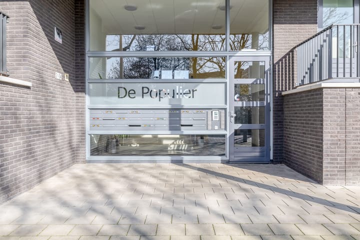 Foto 3 van Populier 44