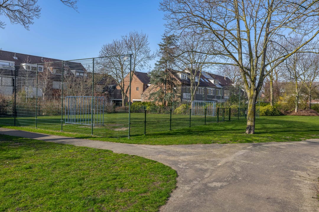 Foto 32 van Populier 44