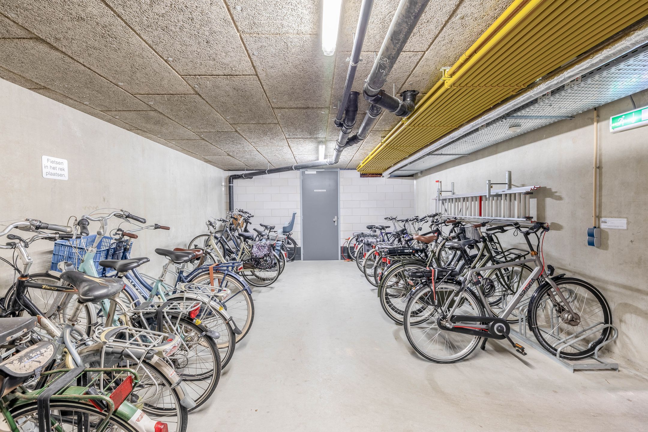 Foto 6 van Populier 44