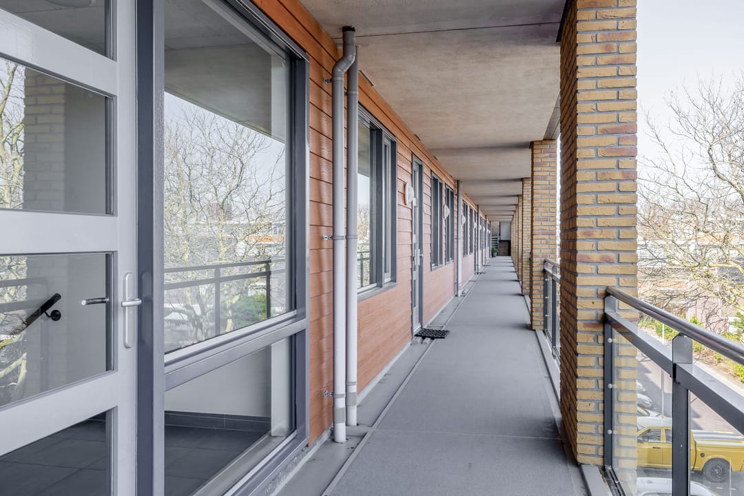 Foto 7 van Populier 44