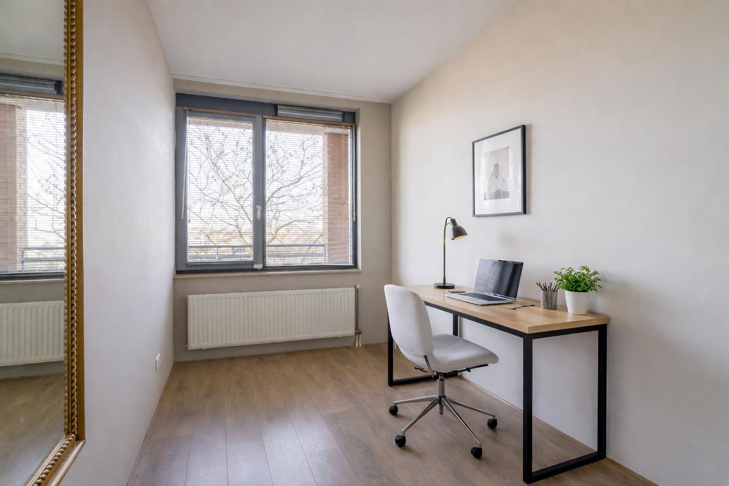 Foto 29 van Populier 44