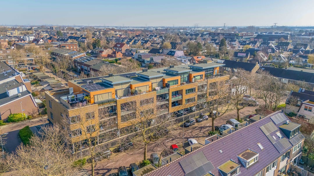 Foto 37 van Populier 44