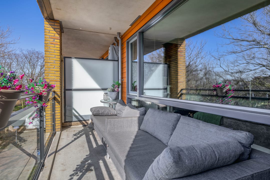 Foto 23 van Populier 44