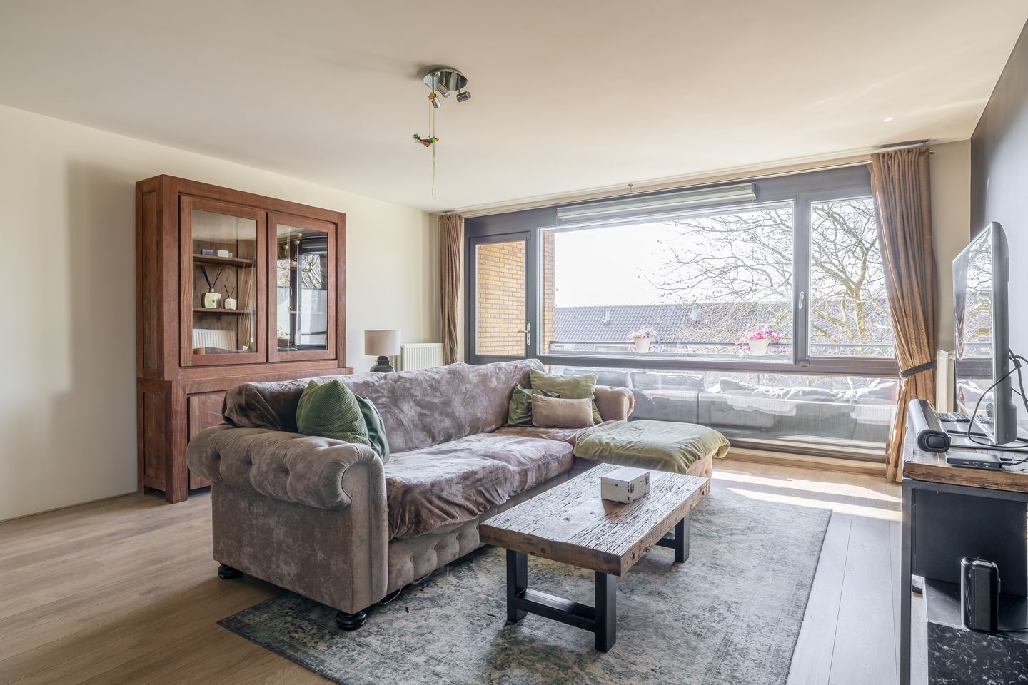 Foto 10 van Populier 44