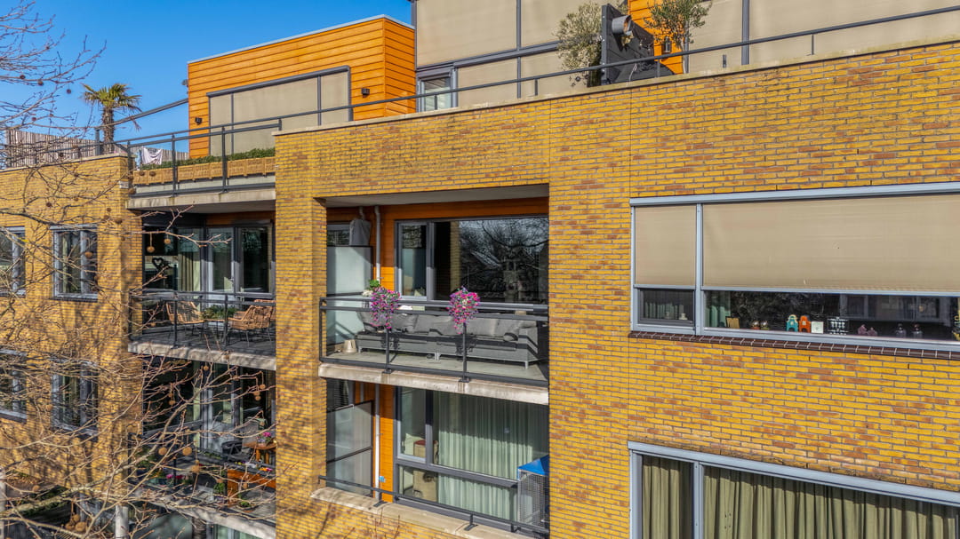 Foto 41 van Populier 44