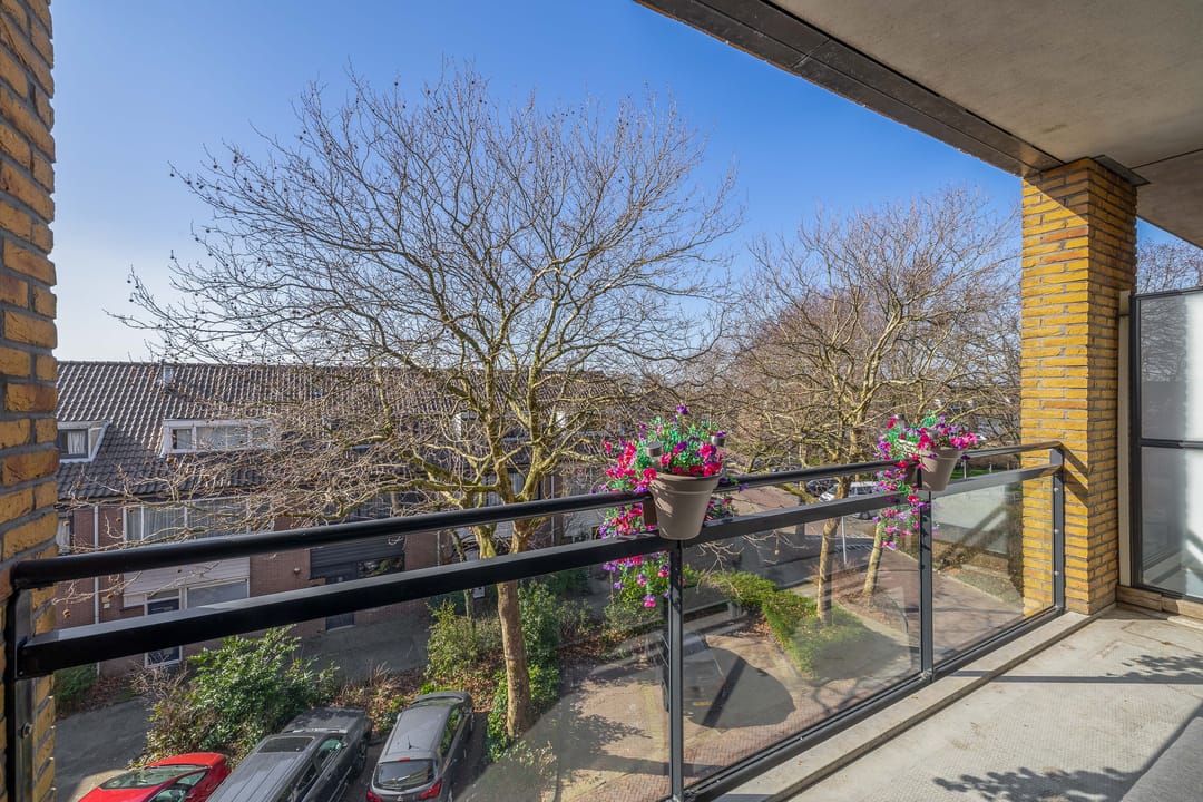 Foto 22 van Populier 44