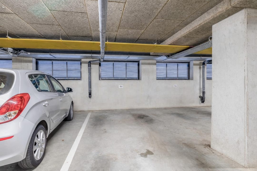 Foto 31 van Populier 44