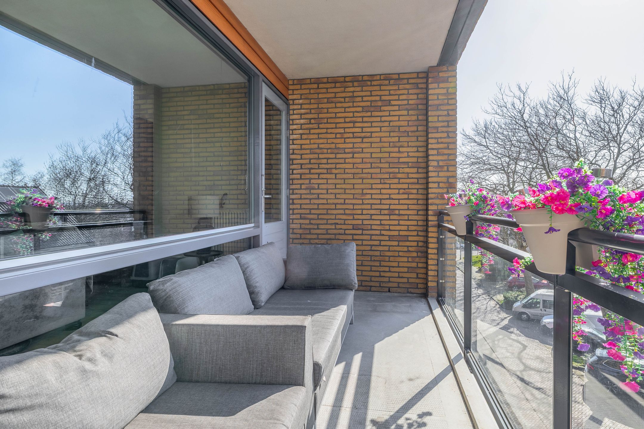 Foto 21 van Populier 44