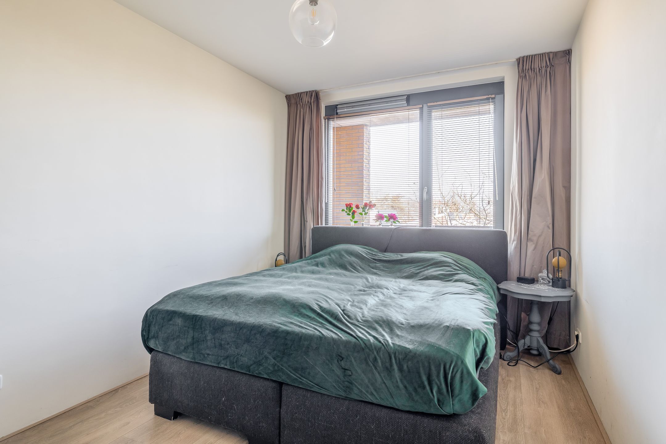 Foto 24 van Populier 44