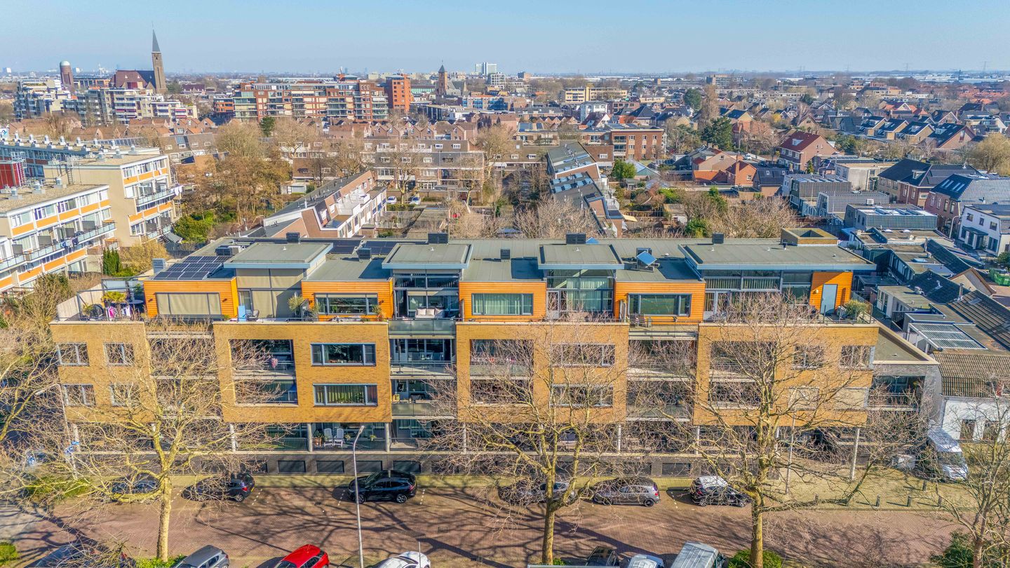 Foto 35 van Populier 44