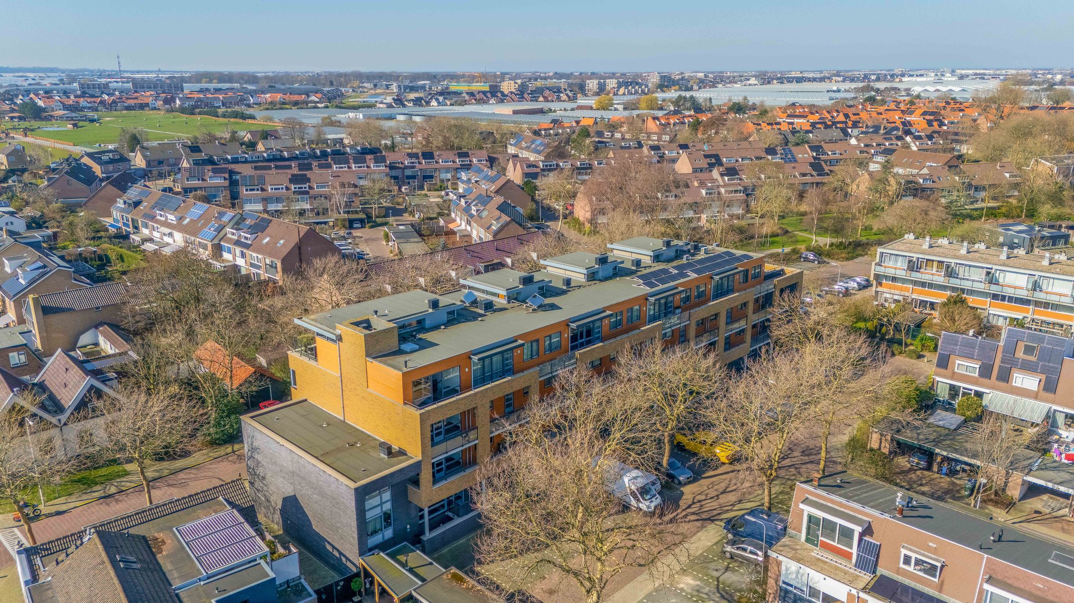 Foto 39 van Populier 44