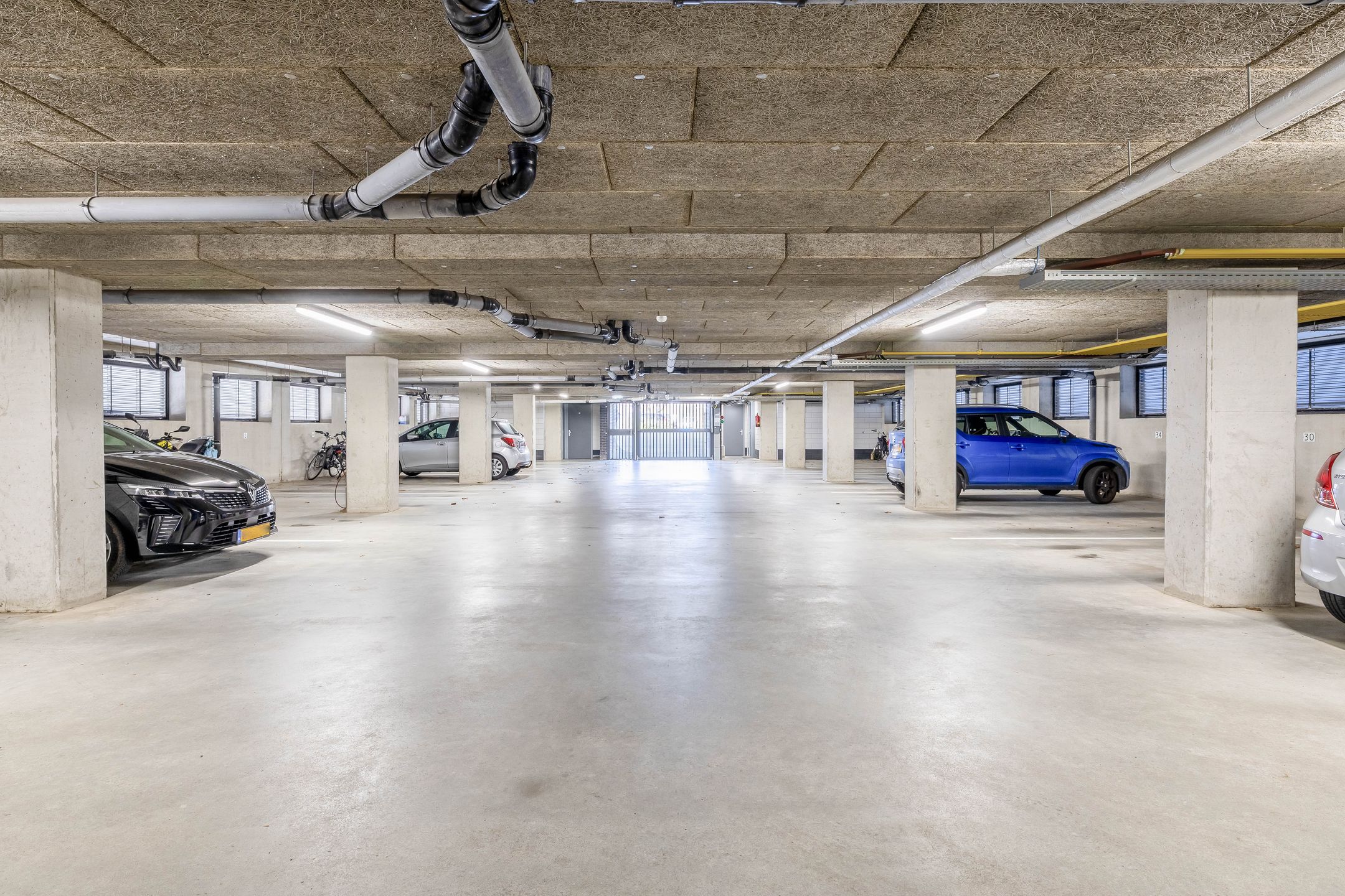 Foto 30 van Populier 44