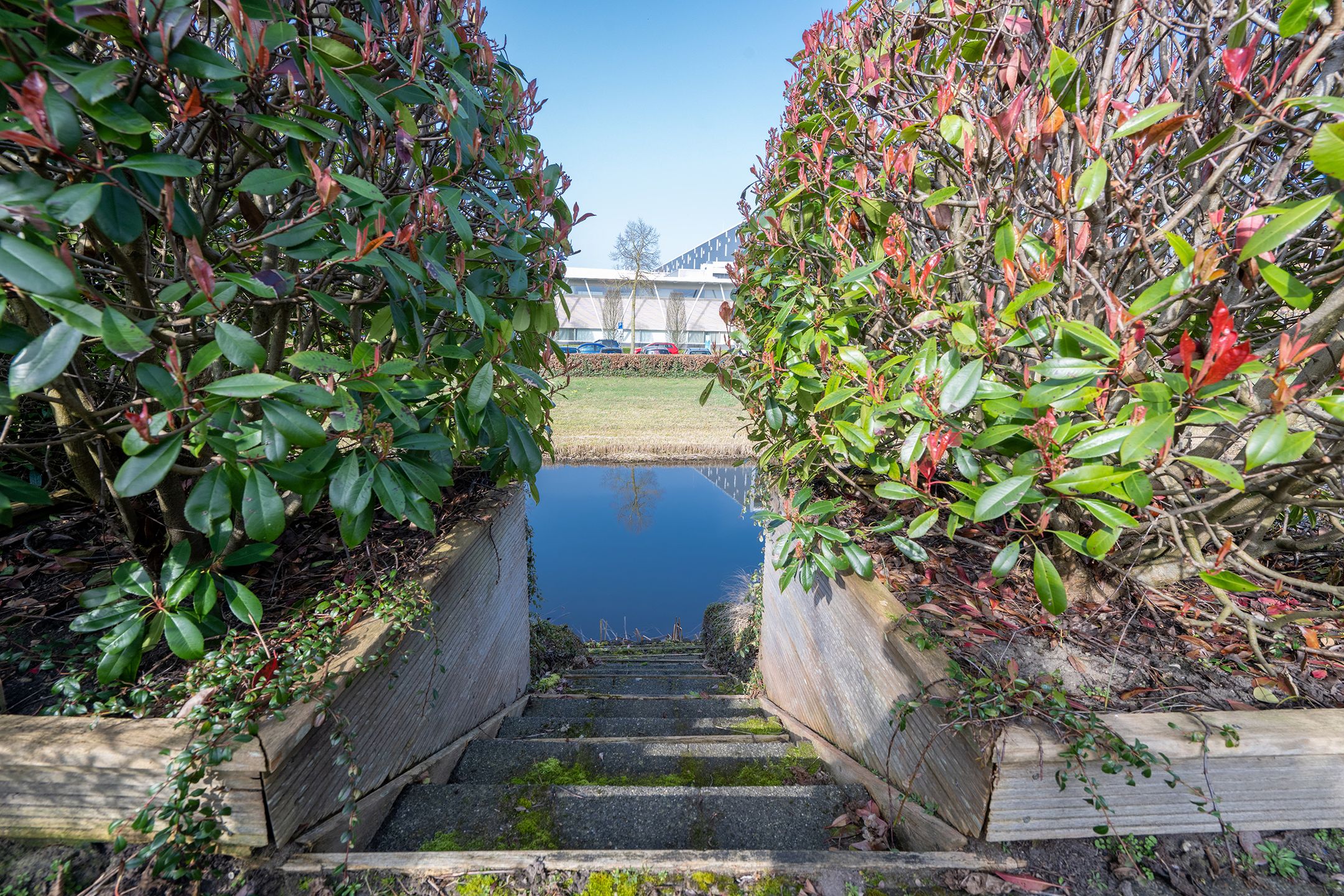 Foto 36 van Izak Osstraat 1