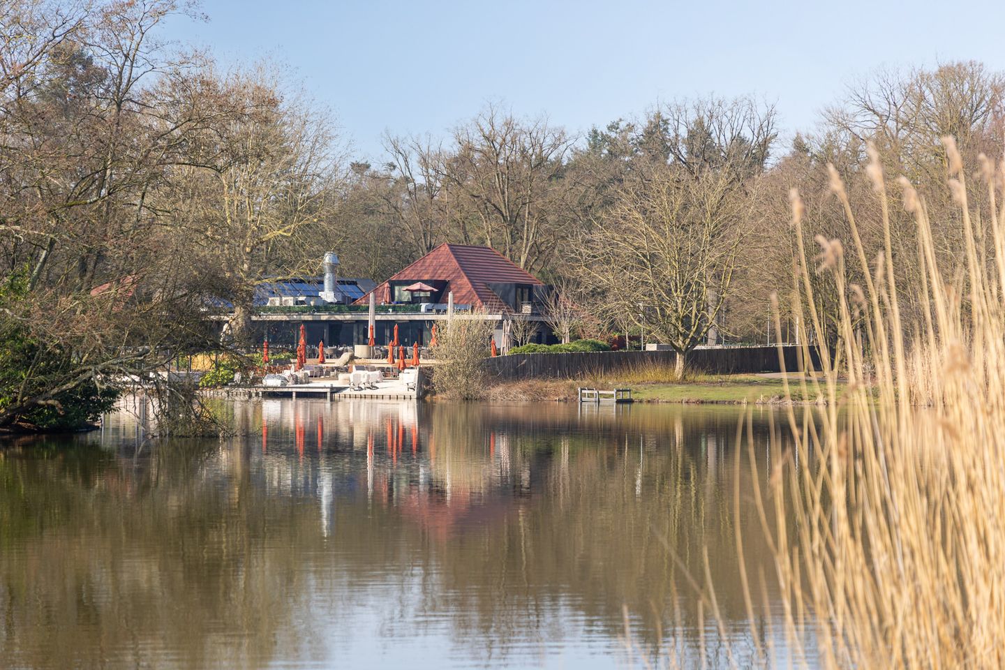 Photo 59 of Annastraat 119