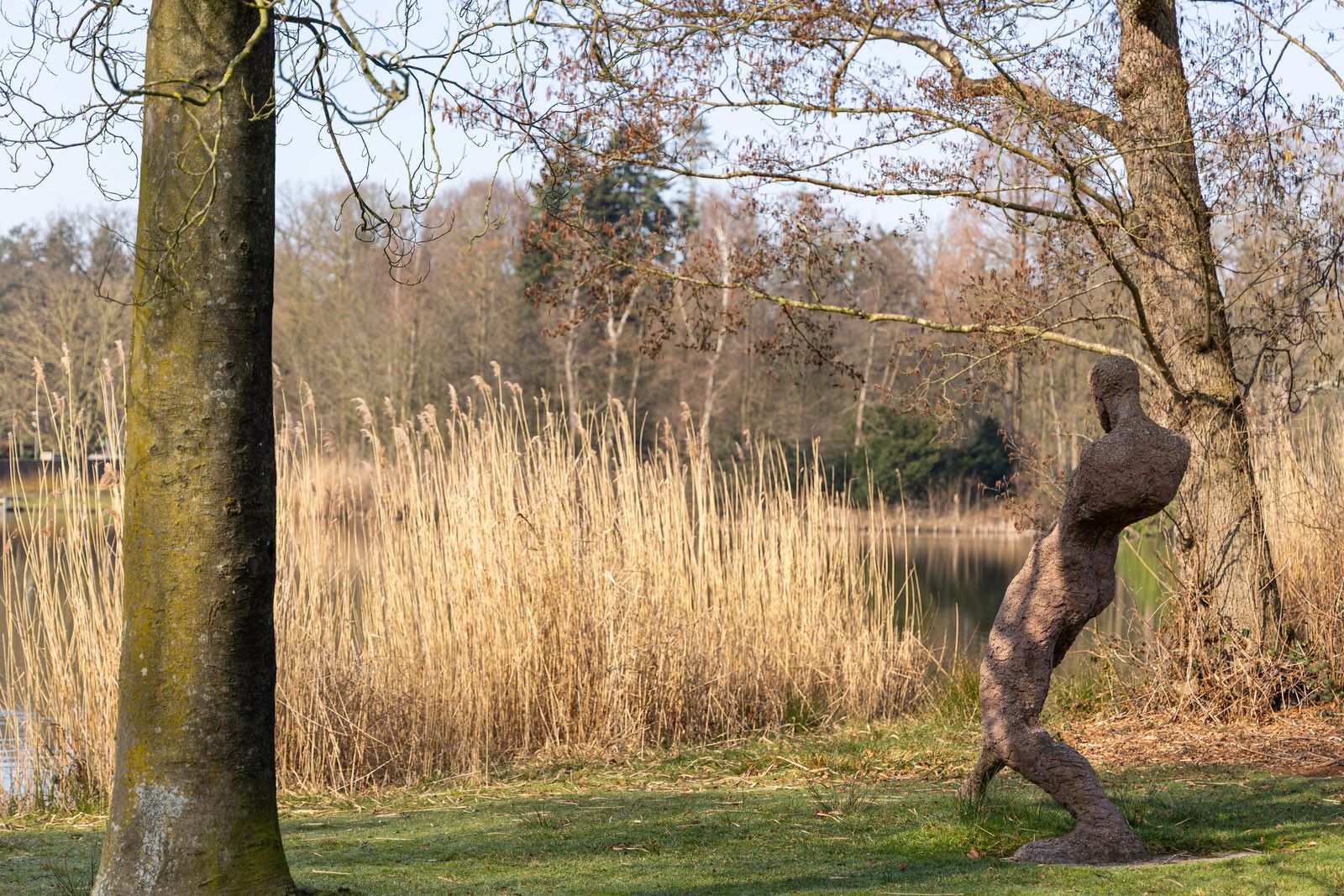 Photo 60 of Annastraat 119