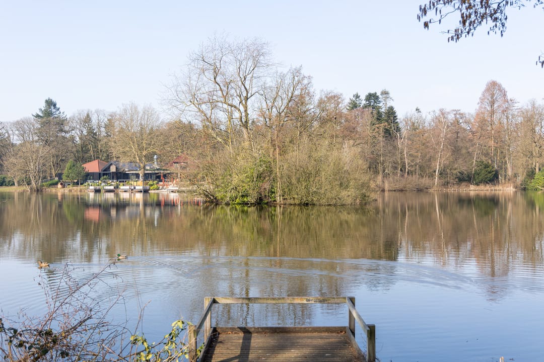 Photo 62 of Annastraat 119