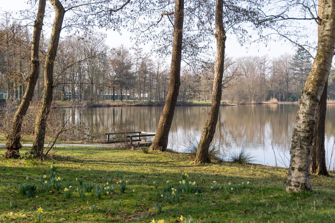 Photo 61 of Annastraat 119