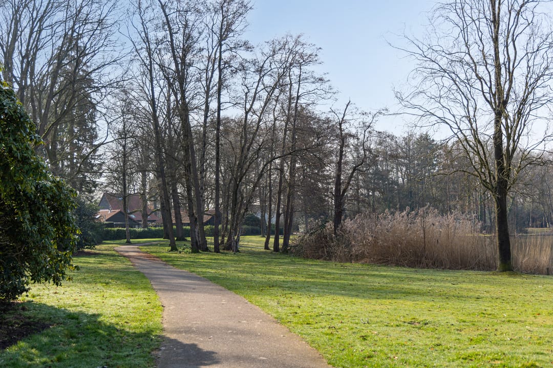 Photo 58 of Annastraat 119