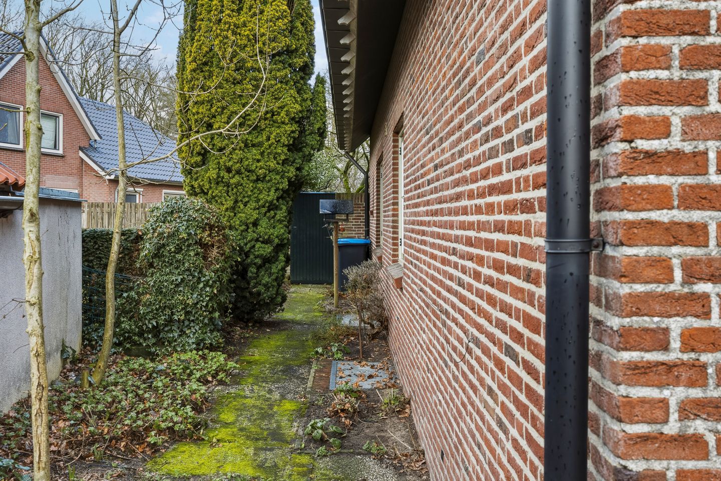 Foto 79 van Molenweg 62