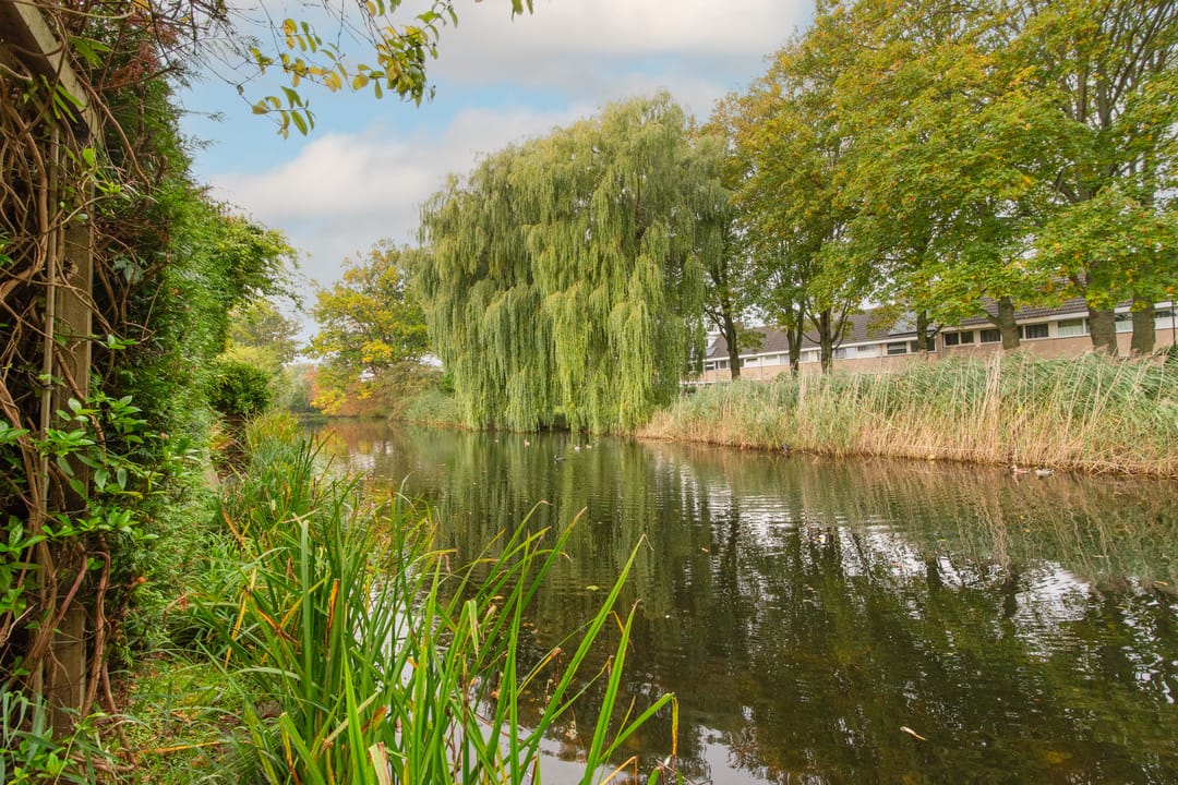 Foto 38 van Jac. van Maerlantlaan 43