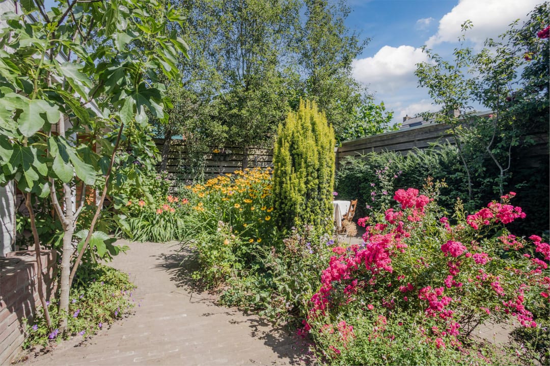 Foto 46 van Michiel de Ruyterstraat 23