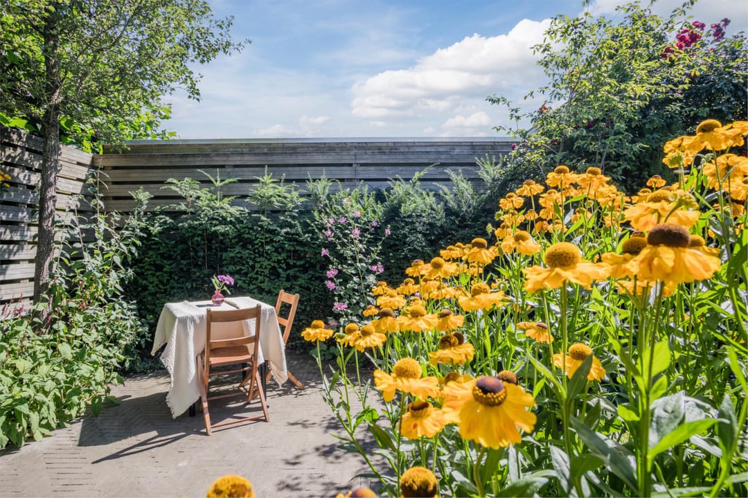 Foto 47 van Michiel de Ruyterstraat 23